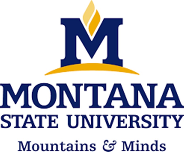 Montana State University Us